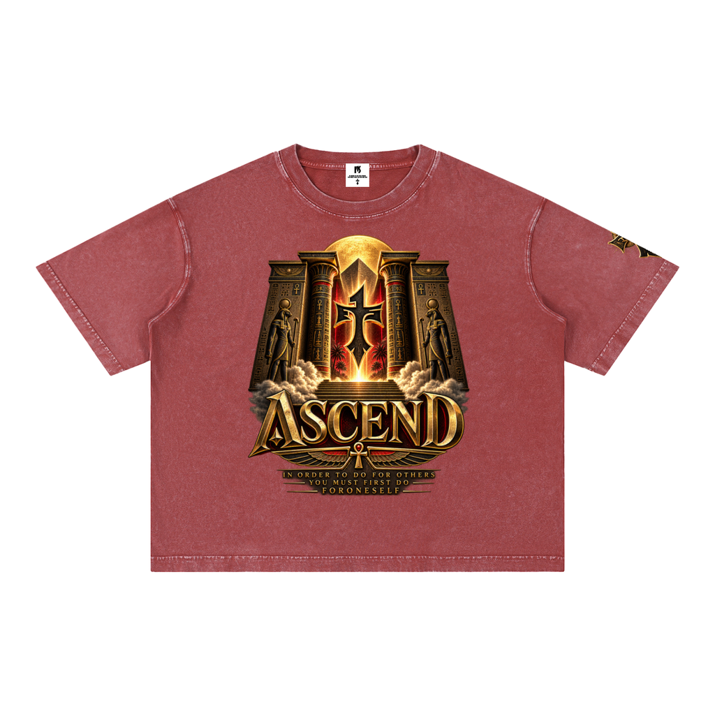 FORONESELF Egyptian Ascend Boxy Cotton T-Shirt